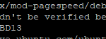 Fix rapid pentru " The following signatures couldn't be verified because the public key is not available: NO_PUBKEY 78BD65473CB3BD13"